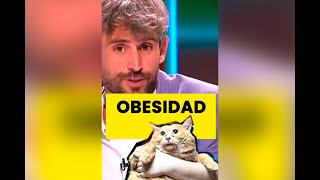 Sobre gatos y obesidad