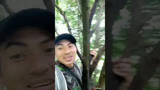 MIKAT BURUNG BEO HUTAN  #short