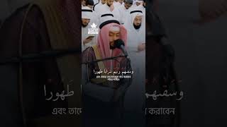 সুরা ইনসান/দাহর ১৯-২২ | আহমাদ আল-নুফাইস #emotional_recitation #nufais #quran #shortsvideo #reels