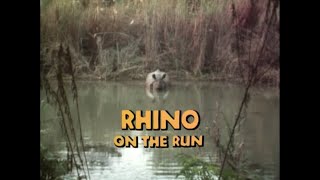 Rhino on the Run (1985)