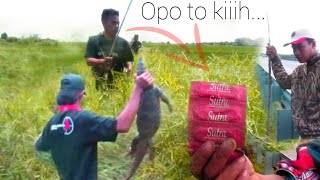 MENENGANGKAN DIKIRA MUSANG TERNYATA SE EKOR ANUU..