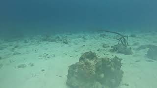 Playa Lagun , 1-15-24, Curaçao