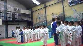 Abertura do festival de judo