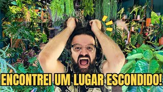 CHEIO de  SUCULENTAS RARAS e PLANTAS EXÓTICAS - Você não vai acreditar! - Jardim