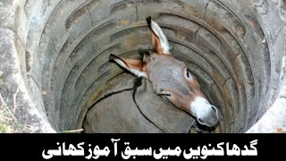 Donkey in well || Sabaq Amoz Story Kahaniyan Zaman Voice