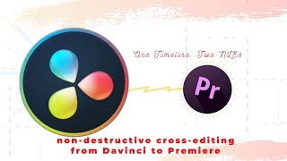 How to Open Davinci Resolve Timeline in Premiere Pro