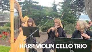 Harp, Violin, and Cello Trio