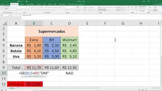 Função SE Excel