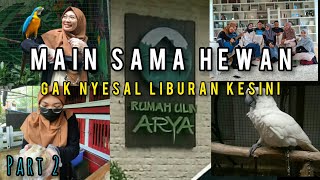 WISATA RUMAH ULIN ARYA SAMARINDA | main sama hewan