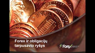 Forex ir obligacijos -  tarpusavio ryšys, prekybos strategijos