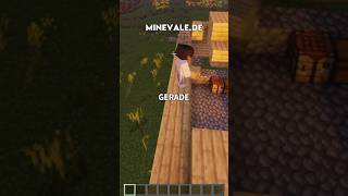 Ich TROLLE ein SPIELER auf meinem MINECRAFT SERVER! 🙈😂 #citybuild #minecraft #shorts