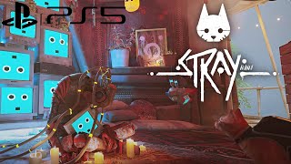 Stray PS5 Gameplay - Antvillage