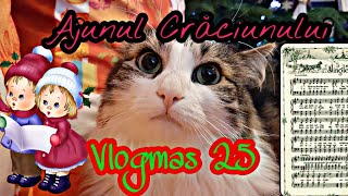 Colindători si Ajunul Crăciunului // Vlogmas 25