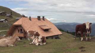 RIFUGIO NORDIO E DINTORNI