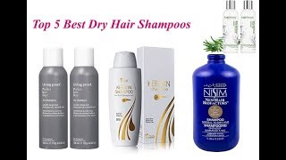 Top 5 Best Dry Hair Shampoos