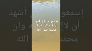 #لا_اله_الا_الله #احاديث #ﷺ #صلى_الله_عليه_وسلم #اكسبلور #الله_اكبر #لايك