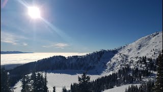 bluebird day at big white