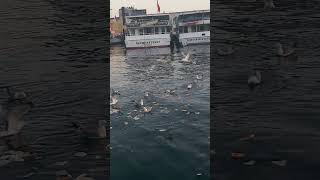 Kadıköy  sahil