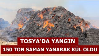 Tosya’da 150 ton saman yanarak kül oldu