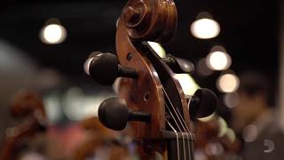 D'Addario Orchestral at NAMM 2018