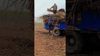 viral Shorts in 9 sac #tractor ki #trending #video #viral