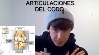 ARTICULACIONES Y LIGAMENTOS DEL CODO- Lógicamente explicado