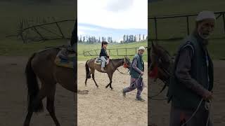 horse ride in gulmarg #shorts