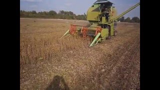 Молотіння сої Claas Compact