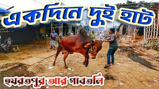 একই দিনে হযরতপুর আর গাবতলী হাটে || নাসির ব্যপারির খামার উপযোগী গরু || Purbasha Agro