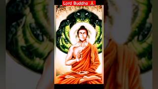 Buddha 🙏 #shorts #ytshorts #buddha #viralvideo #trending #lordbuddha