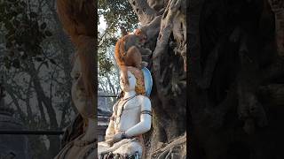 Monkey in the lap of Lord Shiva🙏 #youtubeshorts #monkey #wildlife #wildmonkey