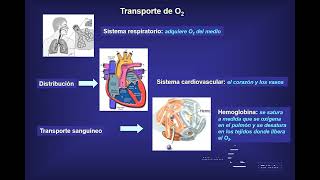 El paciente con cianosis 2021