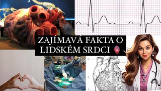 ZAJÍMAVÁ FAKTA O SRDCI ?! 🫀 DOKÁŽE SRDCE FUNGOVAT I MIMO TĚLO?