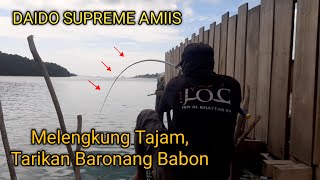 Review Dan Tes Joran Tegek Daido Supreme, Mantap !! Langsung Amis Di Hajar Baronang Babon