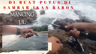 mancing UL di buat putus oleh ikan babon #ul #ultralight #ultralightfishing #ikanbabon  #landbase