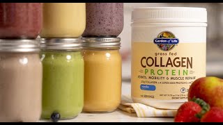 Garden of life collagen protein smoothies