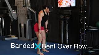 Banded Bent Over Row I Dollar Train Club