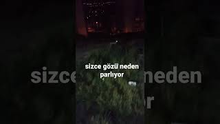 Sabah Namazına Giderken Kapının Önündeki Manzara Kars'ta Sıradan Görüntüler