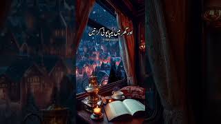 میرے رسول کی شہزادی کو چھالے پڑ گئے 💯✌#islamicstatus #viralvideo #youtubeshorts #islamicvideo #short