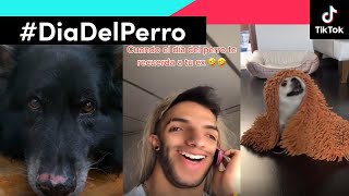 Día del Perro ❤️ Feliz Día Mundial del Perro AMOOOOO | Videos Virales de TikTok