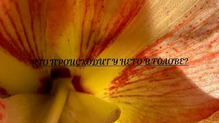 Почему сейчас молчит и что происходит в его голове???