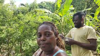 cooking bean rice with fry fish 🐟 🫘 #Jamaican cooking 🍳 😋🌶💯🇯🇲