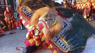 SOLAH REOG PONOROGO DADAK MERAK MENDHUNG KUWORO  DAN SIMO MANUNGGAL KEREN #dadakmerak #reog