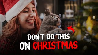 Cat Christmas Tips | Avoid this to Protect Your Cat