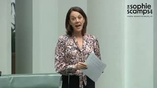 Urgent need for domestic violence services | 25 June 2024 | Dr Sophie Scamps MP