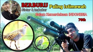 BERBURU paling istimewah edisi 17 Agustus