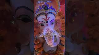 sukhkarta dukhharta | aarti | happy b'day ganesha 🌺