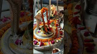 2-10-2024 shiv ji #shiv #love #hindudeity #india #wedding #mahadevay #lordshiva #shiv #shyam #india