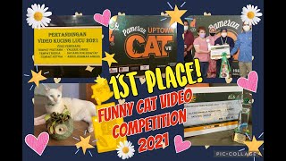 FUNNY CATS VIDEO COMPETITION 2020 | BOURBON