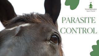 Dr. Christine Cocquyt Talks Equine Parasite Control